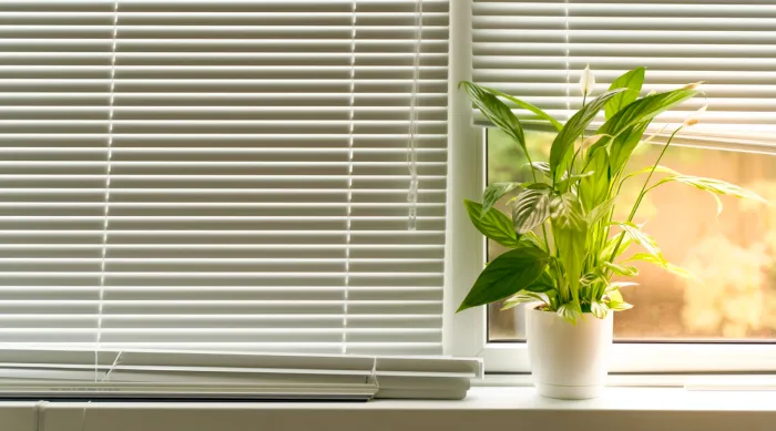 Energy-saving window treatments
